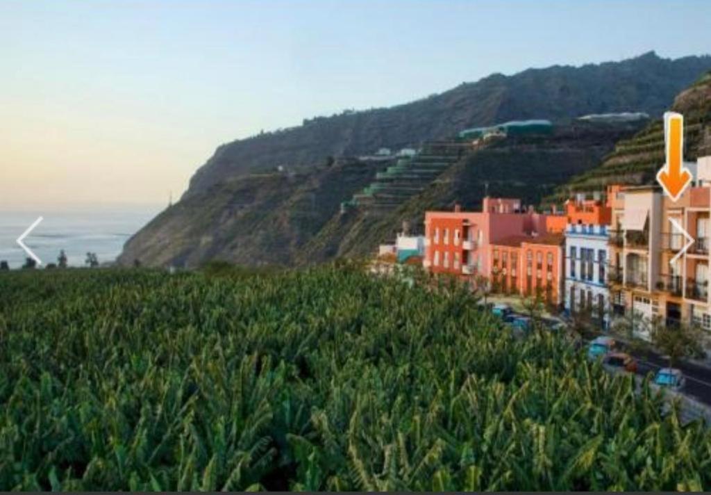 Apartamento El Tejar Tazacorte Exterior foto